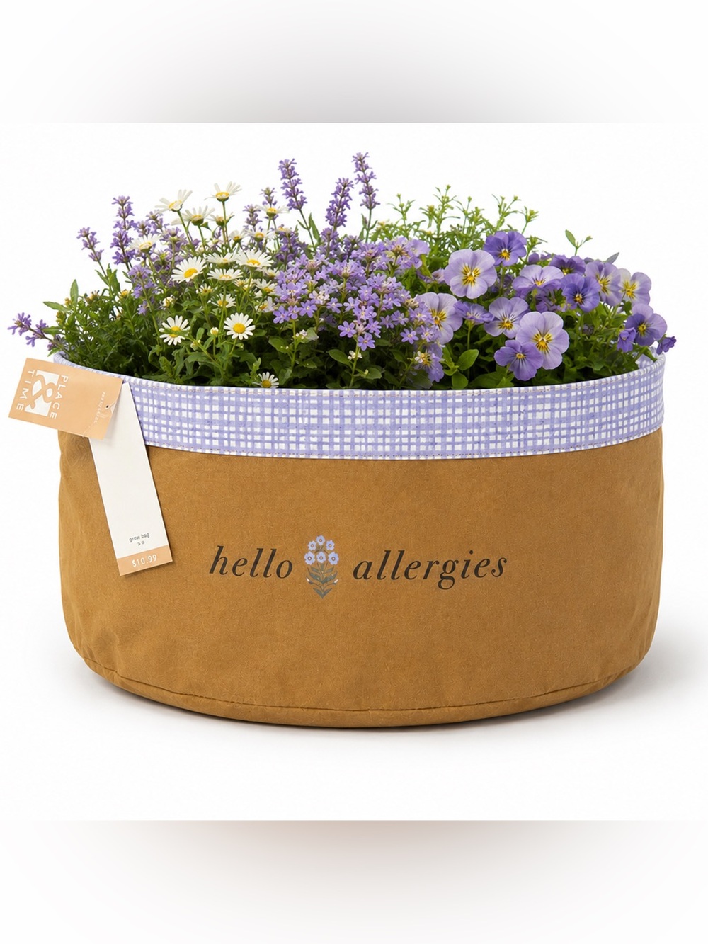 Place & Time Grow Bag Reusable Planter “Hello Allergies” 12.6” x 7.1”
